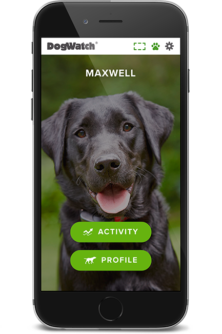 DogWatch by C No Pet Fence, Long Grove, IL, Illinois | SmartFence WebApp Image