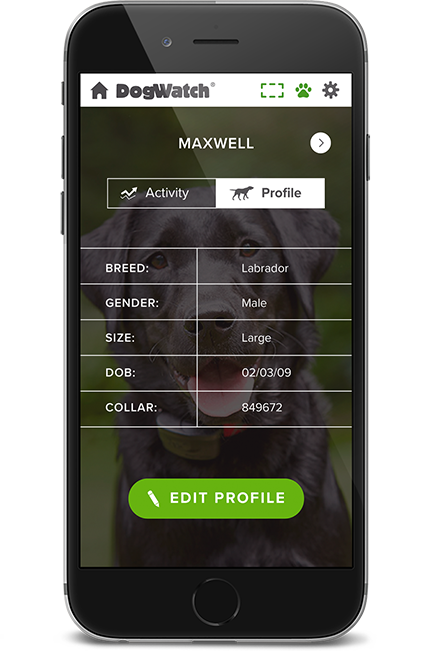 DogWatch by C No Pet Fence, Long Grove, IL, Illinois | SmartFence WebApp Image